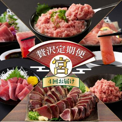 ふるさと納税 室戸市 【贅沢定期便「宮」/全4回】タカシン水産厳選 高知の海鮮セット