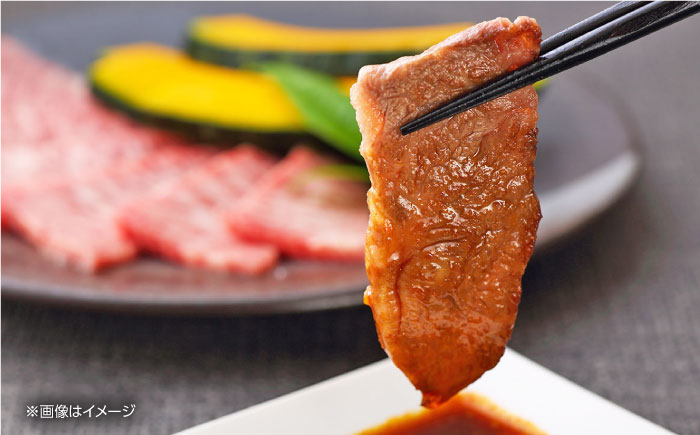 【全12回定期便】 熊本あか牛 焼肉用カット ( バラ ロース ) 500g 【五右衛門フーズ】 [YBZ046]