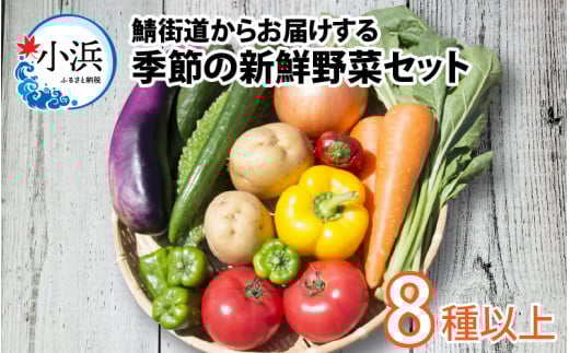 鯖街道からお届け 季節の新鮮 野菜セット 8種以上  [BFAN006]