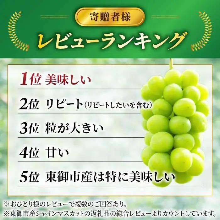 【先行受付2026年発送】東御市産シャインマスカット 2房 1.1kg以上｜先行予約 果物 大粒 ブドウ 種なし 皮ごと 贈答 プレゼント 甘い 朝採れ 新鮮 高評価 長野 信州