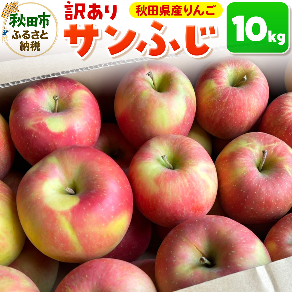 【訳あり】サンふじ 10kg りんご リンゴ 林檎【天抜き箱で発送】