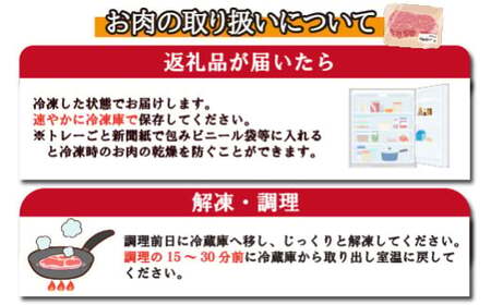 【祝！内閣総理大臣賞！】A5等級 小林市産宮崎牛ヒレステーキ 160g×4枚セット（宮崎牛 牛肉 肉 ステーキ ヒレ ヒレステーキ 数量限定 ステーキ 和牛ステーキ 牛肉ステーキ 国産ステーキ ヒレス