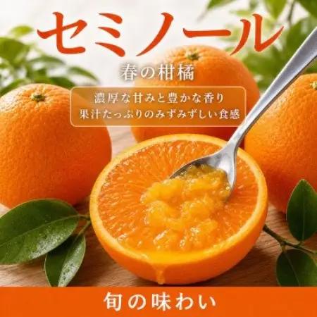 ジューシー柑橘　セミノールオレンジ　5kg【配送不可地域：離島】【1745644】