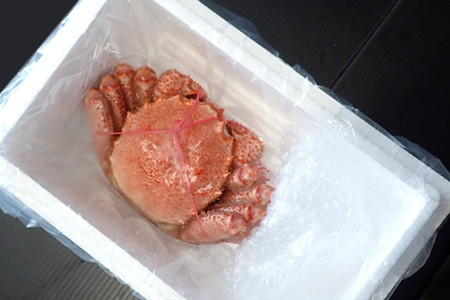 根室海鮮市場＜直送＞ボイル毛がに(新物)約600～750g×1尾 B-28110【12月13日決済分まで年内配送】