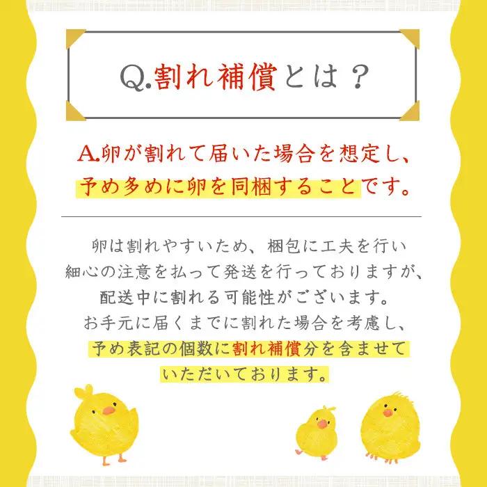 No.781 ＜定期便・全6回(連続)＞鹿児島県産有精卵(40個×6ヶ月連続) 割れ保証付 国産 九州産 鹿児島県産 たまご タマゴ 有精卵 卵 鶏卵 生卵 おかず TKG 卵かけご飯 朝食 定期便 
