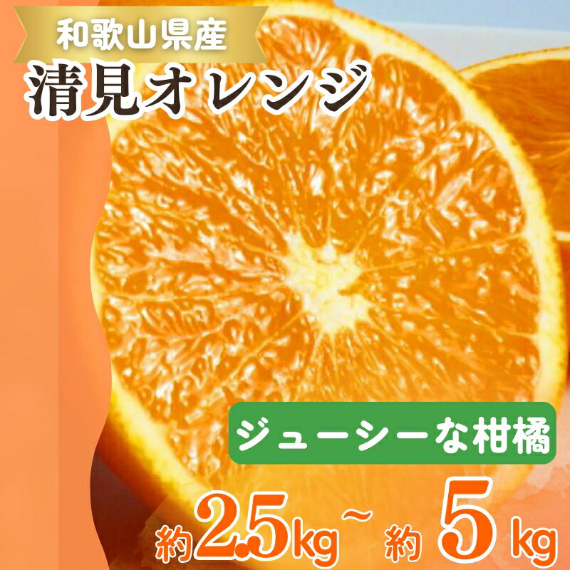 【ふるさと納税】 【予約】【ジューシー】清見オレンジ 約2.5kg 約5kg ※2026年3月下旬頃〜2026年4月中旬頃に順次発送予定（お届け日指定不可）