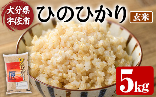 ＜令和7年産＞ひのひかり 玄米 (5kg) お米 ごはん ご飯【107101303】【あいはな農園】