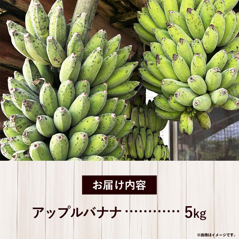 国産 希少種！南国フーズのアップルバナナ 約5kg - ばなな 小ぶり 沖縄県産 産地直送 果物 フルーツ 朝食 おすすめ 八重瀬町_イメージ5
