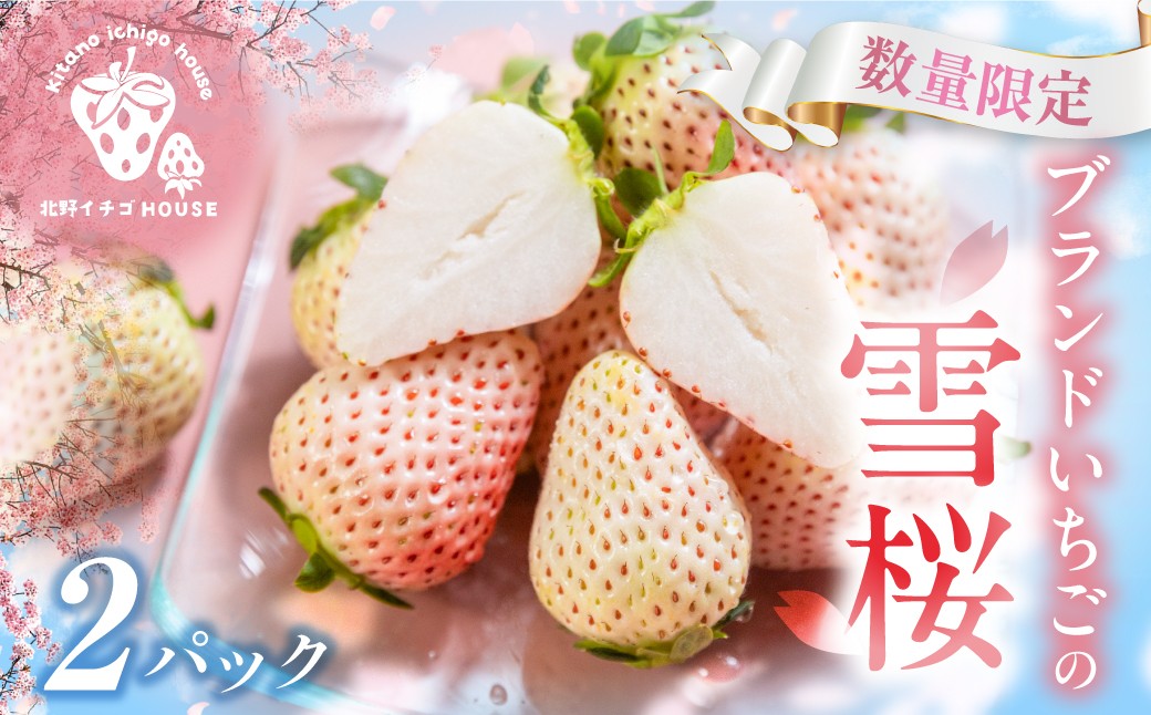 
                  《2027年先行予約》希少白いちご『雪桜』2パック いちご 苺 イチゴ 白いちご 白イチゴ 白苺 ブランドいちご ブランドイチゴ 高級 贈答 プレゼント 贈答用 美味しい 人気 甘い 旬 フルーツ 果物 愛知県 豊橋市
                