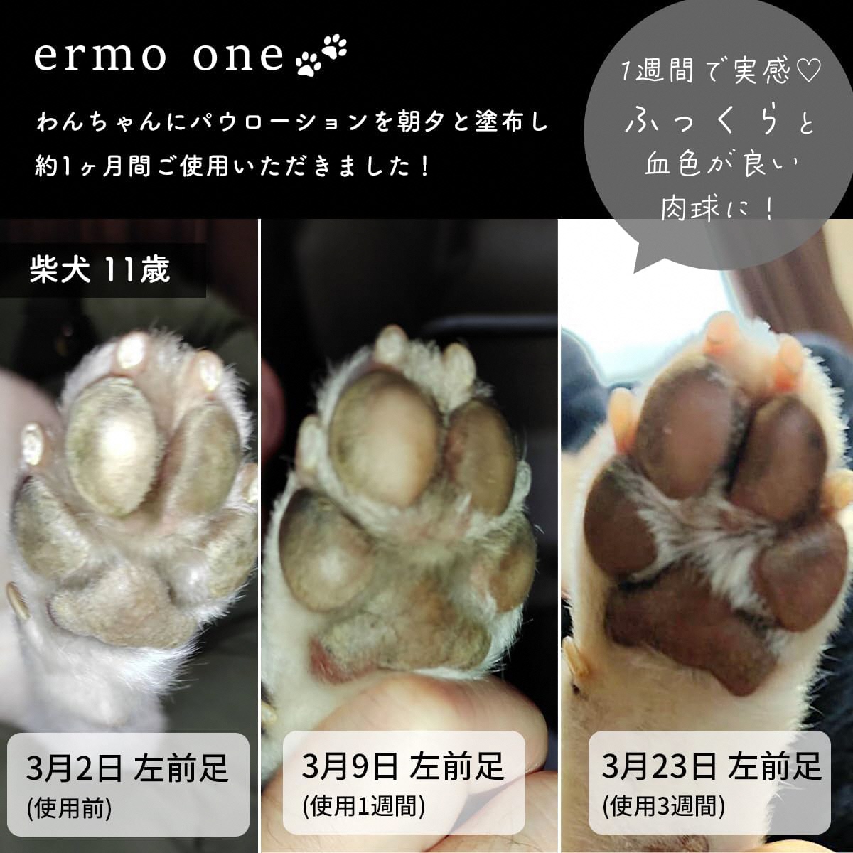 パウローション ermo one (肉球ケア／肉球保湿ローション) 5本セット ｜犬 肉球ケア 肉球クリーム ミスト 犬用ローション 犬用 保湿ローション 犬用保湿剤 乾燥 ひび割れ ケア 保護 いぬ