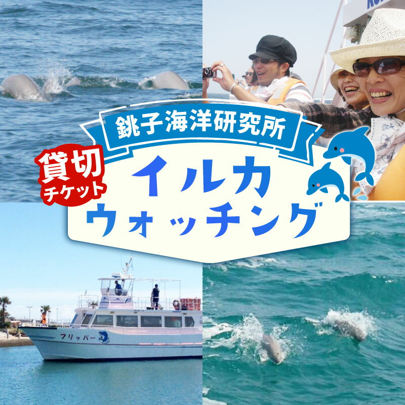 【ふるさと納税】 【 貸切 】 沿岸 イルカウォッチング 貸切チケット イルカ チケット 船 お手軽 体験 体験型 予約 観光 観光チケット 貸し切り 乗船券 クルーズ クルージング 海 海の生物 生物 野生動物 動物 関東 千葉 家族 子供 送料無料 スナメリ 銚子海洋研究所