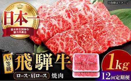 【12回定期便】飛騨牛 焼肉用 ロース・肩ロース 1kg A5等級 [TAZ037] 飛騨牛 焼肉用