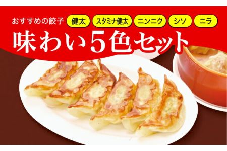 「宇都宮餃子館」味わい５色セット（餃子5種）　800ｇ≪ギョーザ 冷凍餃子 冷凍食品 グルメ 食品 惣菜 中華惣菜 点心 中華≫◇