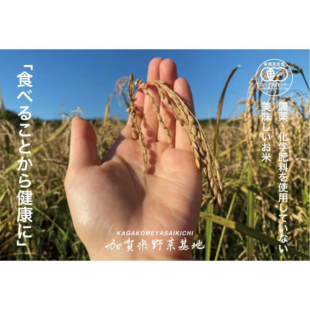 《令和8年産 新米 先行予約》「12ヶ月定期便」【お米グランプリ3部門受賞】＜有機JAS認証米＞日本一粒の大きいお米『いのちの壱』玄米15kg×12回