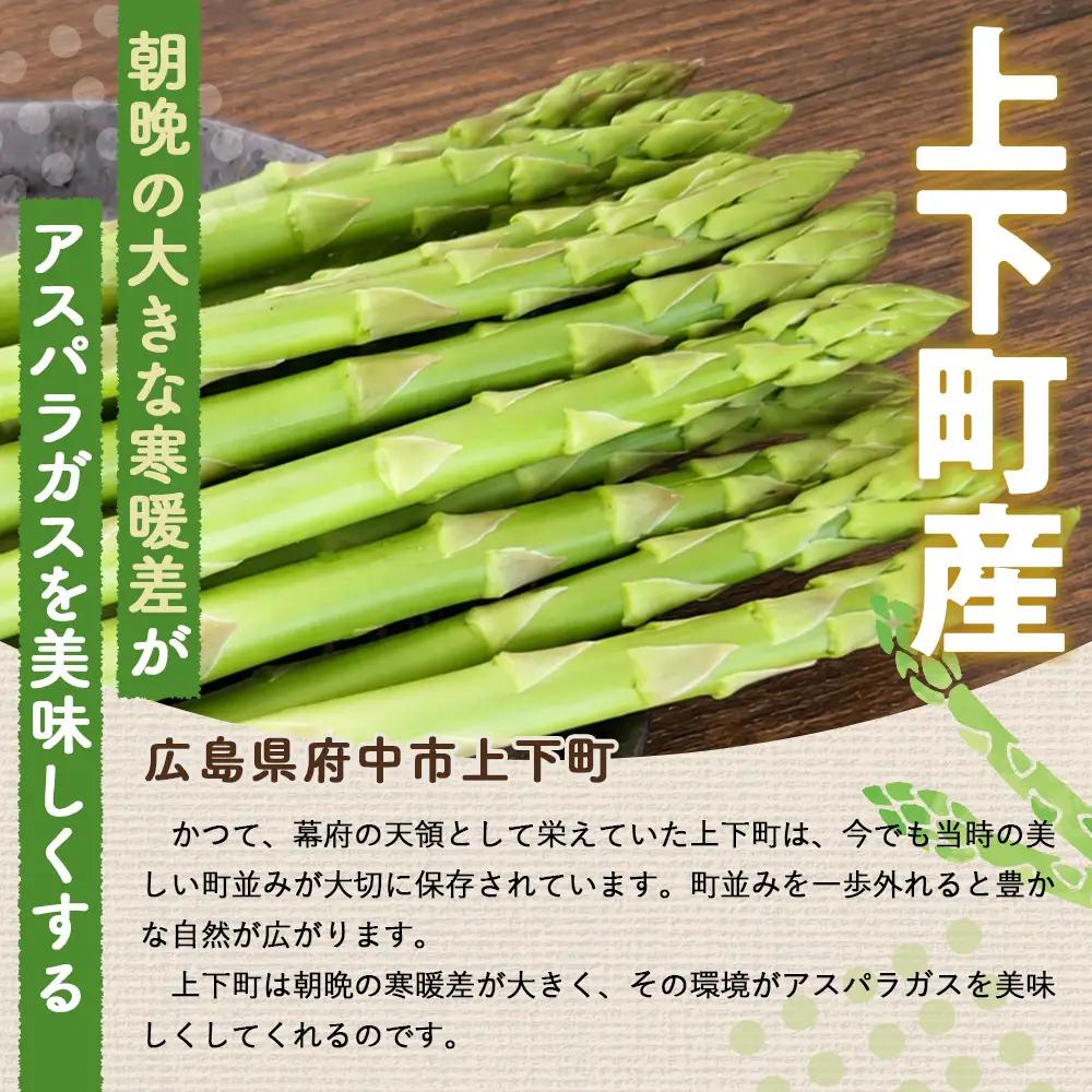 上下七色農園贈答用アスパラガス　2Lサイズ　桐箱 No.1098