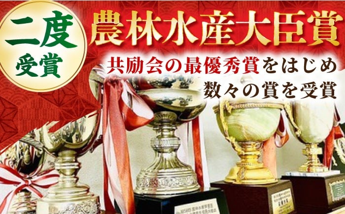 黒毛和牛 牛肉 定期便 ロース 霜降り しゃぶしゃぶ すき焼き 鍋 佐賀