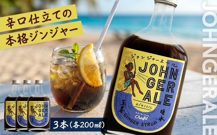 
                  ジョンジャーエール（クラフトジンジャエール）200ml×3本セット 《厚真町》【Shijima Yoga Studio & Shijima Cafe】 ジンジャーエール 炭酸 ドリンク 飲料 ジュース 希釈 原液 北海道 [AXBZ001] 20000 20000円
                