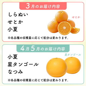 【旬の柑橘詰め合わせ 2.5㎏ 】訳あり 訳アリ わけあり 規格外 不揃い 傷 柑橘 詰め合わせ 食べ比べ 2種以上 セット ミカン みかん 蜜柑 ポンカン ぽんかん せとか デコポン 不知火 しらぬ