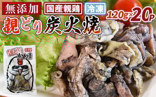 ＜親どり炭火焼（120g×20パック）＞入金確認後、翌々月迄に順次出荷【 レトルトパック 炭火焼きチキン 宮崎地鶏 宮崎グルメ 宮崎特産 地鶏炭火焼き レトルト食品 簡単調理 常温保存 おつまみ 家飲みおつまみ バーベキュー 宮崎の味 ご当地グルメ 本格炭火焼き ジューシー鶏肉 便利レトルト グルメ 鶏肉料理 煙の香り 焼き鳥風味 直火焼き 一人前パック 簡単ディナー まな板不要 】