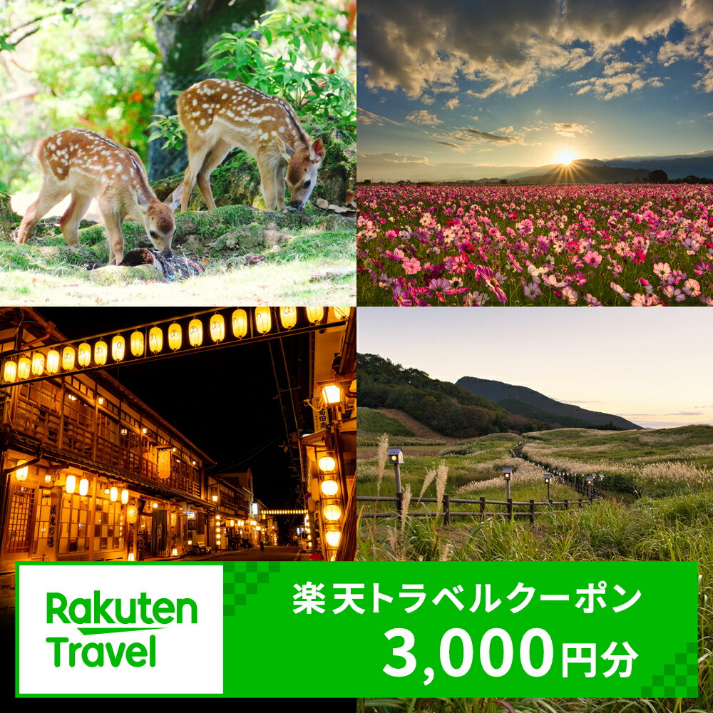 【ふるさと納税】奈良県の対象施設で使える楽天トラベルクーポン 寄付額10,000円