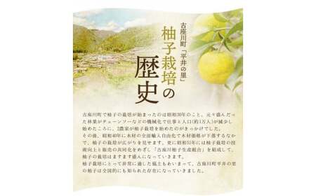 古座川町のゆずドリンク（はちみつ入り） はちみつ柚香ちゃん 160ml（20本入） / ゆず 柚子 柚 ユズ ジュース ドリンク はちみつ 常温 冷蔵 冷凍 定期 ギフト【yuz111B】
