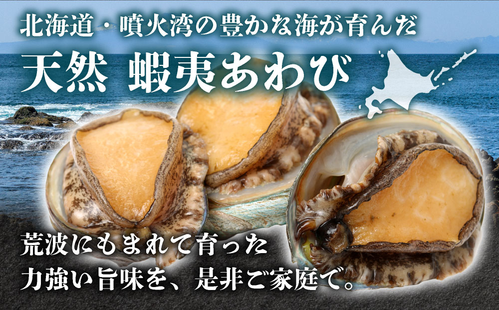 ＜個包装で食べやすい！＞ 天然 蝦夷あわび 計500g | 北海道 あわび 高級 冷凍 冷凍あわび 海鮮 天然 アワビ 鮑 刺身 awabi 小分け 個包装 大容量 北海道 登別市 ギフト