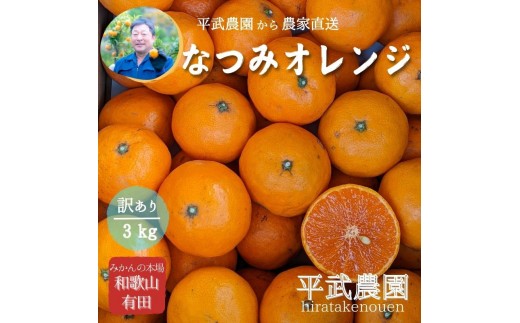 
                  農家直送！なつみオレンジ 3kg 訳あり≪サイズ混合≫【平武農園】～蛍飛ぶ町から旬の便り～
                