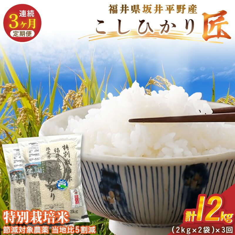 【ふるさと納税】【3ヶ月連続お届け】令和7年産 特別栽培米 コシヒカリ匠 4kg（2kg×2袋）×3回 計12kg 節減対象農薬当地比5割減【選べる精米方法：白米 / 玄米】【米 コメ お米 コシヒカリふるさと納税米 ブランド米 国産】