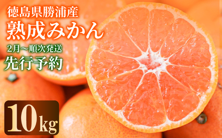 【先行予約】 熟成 みかん 10kg 秀品 M~L 国産 徳島県 勝浦産 果物 蜜柑 温州 産地直送 数量限定 