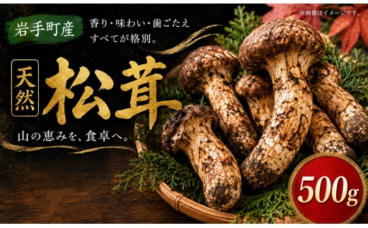 【先行予約】 天然松茸 500g 国産 国産松茸 岩手県産 岩手町産 松茸 まつたけ マツタケ 天然まつたけ きのこ 秋の味覚 旬 希少 山の幸 2026年発送 松茸ご飯 焼き松茸 土瓶蒸し 天ぷら 冷蔵 ギフト 贈り物