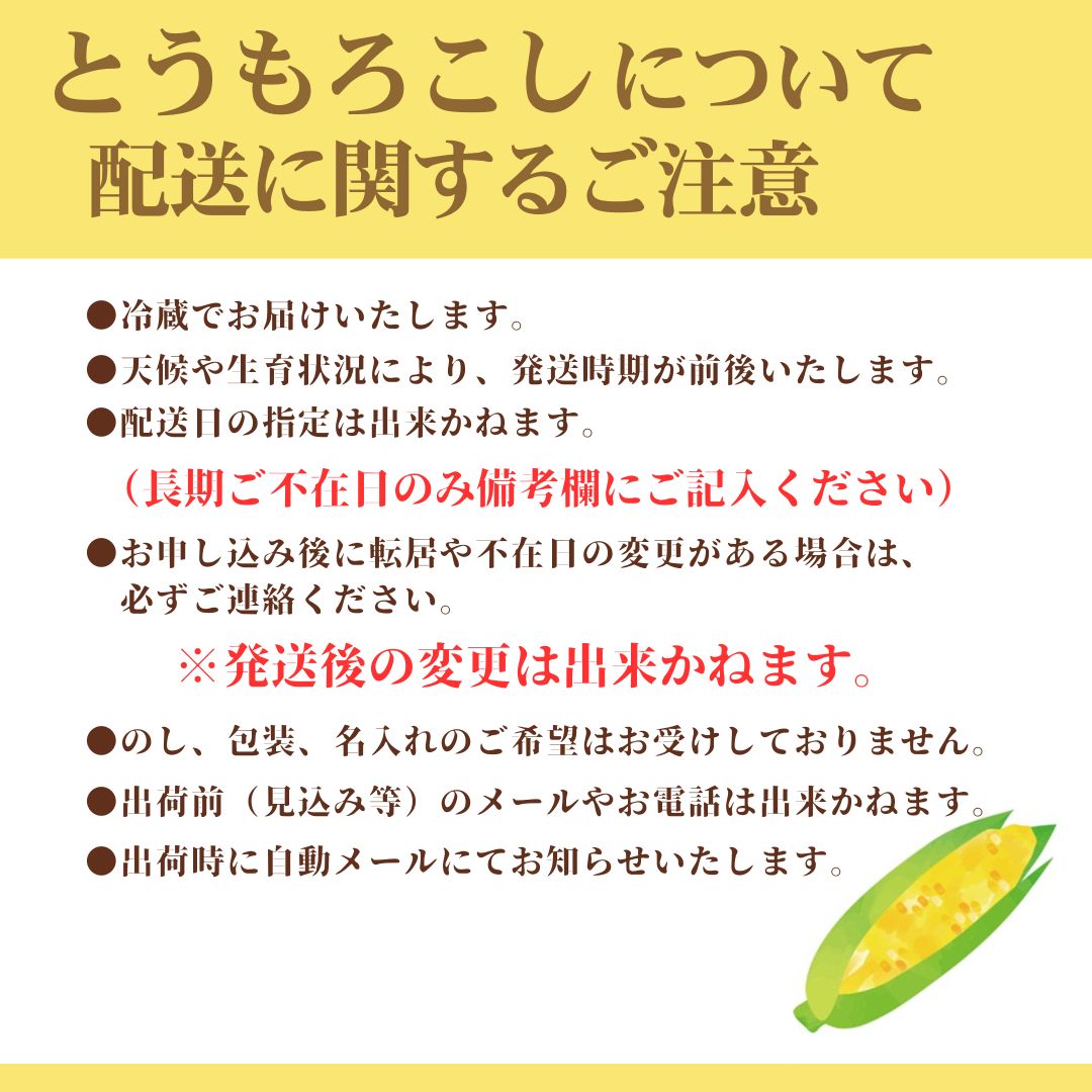 市川三郷町大塚産 ドルチェドリーム 12本 約5kg【2025年6月上旬から発送】Kai Sweet Farm[5839-2211]