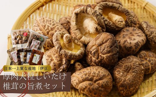 
伊豆 極上の清助（せいすけ）肉厚 どんこ乾椎茸 （240g）・特選こうしん干ししいたけ85g・スライス椎茸80g・旨煮椎茸 ３種（山野きの子 150g・椎茸こんぶ侍 150g・あまカラ先生140g） 詰め合わせ セット　【静岡 伊豆 きのこ 無添加 逸品 】021-002
