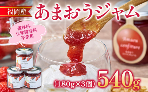 
福岡産 あまおうジャム 合計540g 180g×3個 あまおう イチゴ いちご ジャム 朝食 食パン 果物 フルーツ アイス 送料無料
