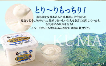 とろ～り食感!!球磨の恵みヨーグルト 加糖タイプ 1kg×4パック
