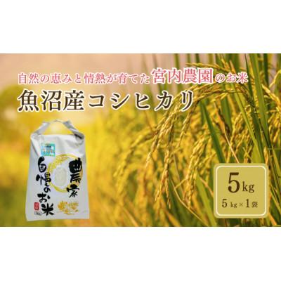 ふるさと納税 小千谷市 令和8年産 米 魚沼産コシヒカリ 宮内農園 精米 5kg 新潟県 小千谷市