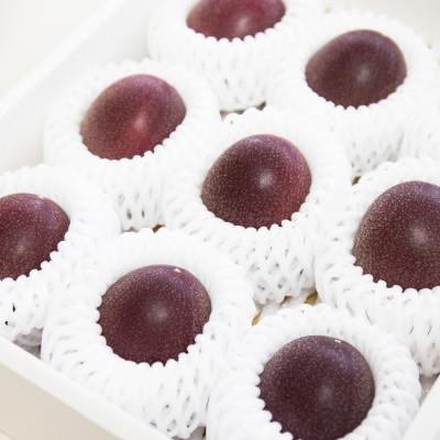 ふるさと納税 奄美市 《奄美大島産パッションフルーツ》贈答用化粧箱入り約1kg(12玉入り) |  | 03