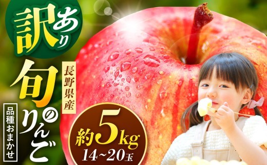 【先行受付】信州産 訳ありりんご【品種おまかせ】約5kg (14～20玉)　【秋映・シナノスイート・シナノゴールド・名月・サンふじ・グラニースミス・あいかの香り】 | ふるさと納税 訳あり サンふじ 秋映 シナノスイート シナノゴールド リンゴ りんご 林檎 信州産 長野県 松本市