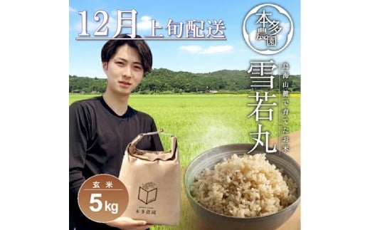 12月上旬配送／令和7年産【玄米】雪若丸　5kg 農家直送 HO SB0733
