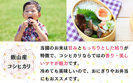 【先行予約】 令和７年産 コシヒカリ 玄米 10㎏  ＜2025年9月中旬より発送＞ 奥信濃飯山～木内ファームのお米～(7-11B) 長野県 飯山市 おすすめ ランキング おいしい 高評価 大人気 ギ