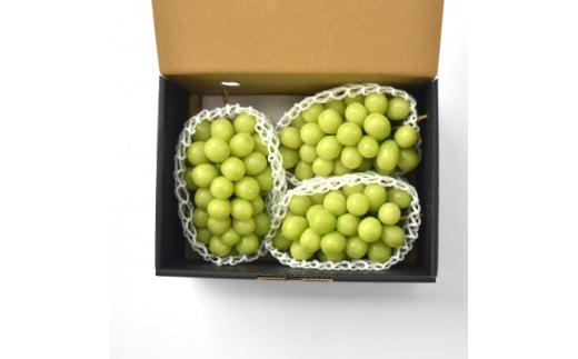 ＜発送月固定定期便＞シャインマスカット2.0kg 3-4房全2回【4067839】