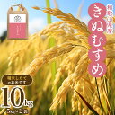 【ふるさと納税】 和歌山県産の お米 きぬむすめ 10kg (5kg×2袋) 〈令和6年度産〉 / お米 白米 精米