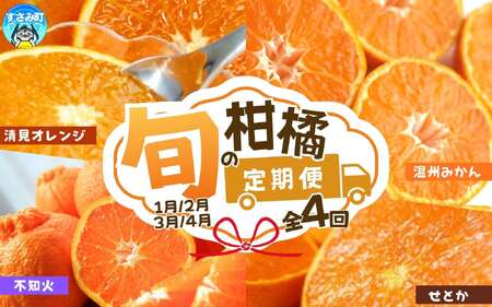 定期便【全4回/1・2・3・4月】旬の柑橘定期便 / みかん ミカン 柑橘 オレンジ 果物 くだもの フルーツ フルーツ定期便 和歌山【tkb416】
