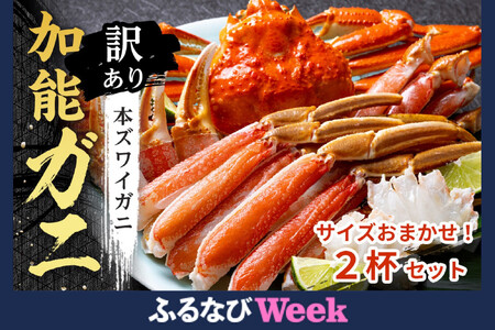 【訳あり】金沢港より直送！サイズおまかせボイル加能ガニ 2杯セット 蟹 かに 