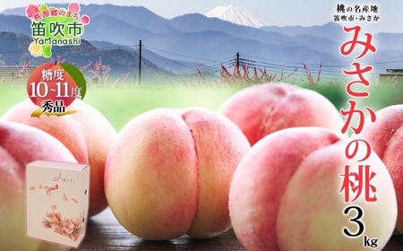 【2026年発送★先行予約】桃 秀品 3kg 糖度10％以上 ※クール便配送 177-005-26y
