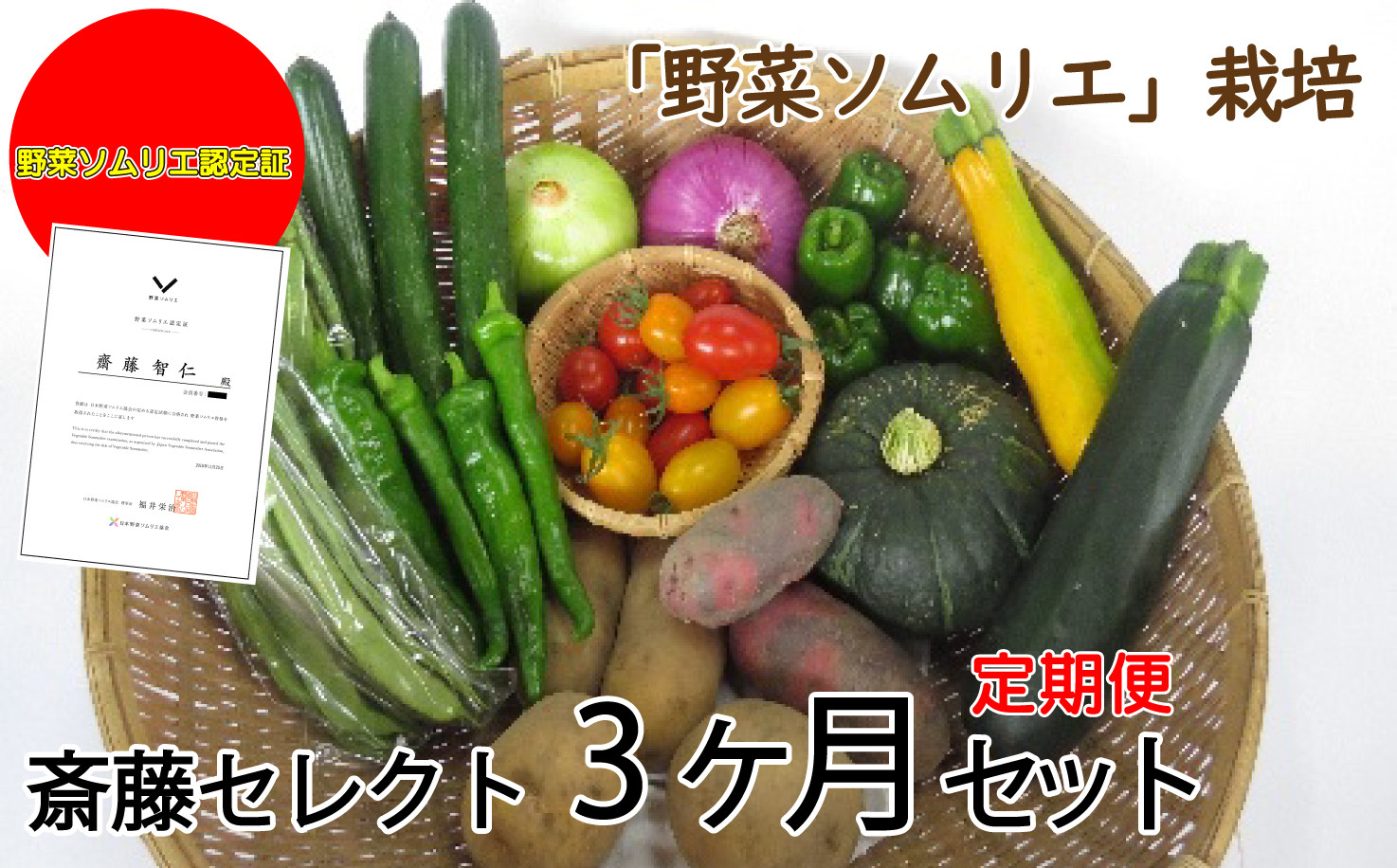 
            【予約受付】2025年７月中旬発送予定【定期便】野菜ソムリエ齋藤セレクト3ヶ月セット　野菜 定期便 
          