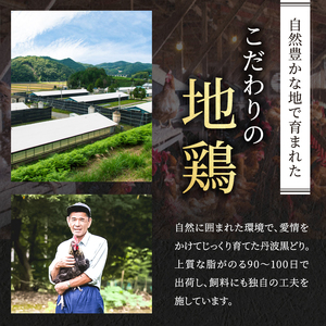 地鶏 丹波黒鶏 むね肉 地鶏【2kg】