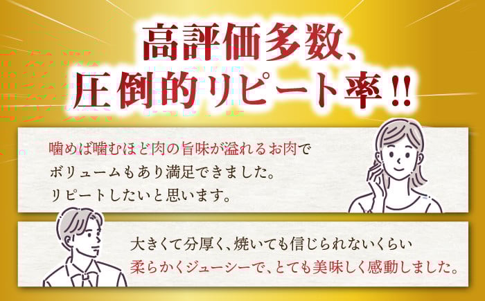 長崎和牛 ヒレ ステーキ 肉