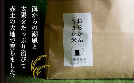 【令和6年度産新米】【約3kg】おぢかんうまか米（小値賀町産こしひかり 3kg ・精白米） [DAB010] コシヒカリ こしひかり お米 常温 新米 [DAB010]