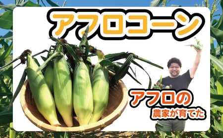 【先行予約】 とうもろこし アフロコーン 約5kg （2026年7月上旬～8月上旬配送） とうもろこし