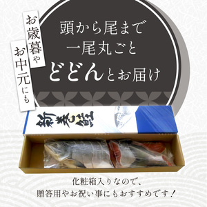 鮭 切り身 4分割 1.7kg 大手百貨店も扱う「新巻鮭姿切身」 化粧箱 入り 贈答用 秋鮭 を中心に オスの上質な銀毛のみ 厳選 北海道 白糠町 人気 ランキング _T011-0269